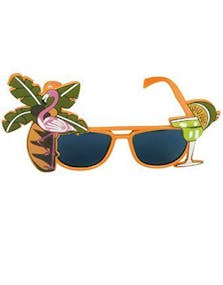 Orange Wayfarer Kostymglasögon med Flamingo