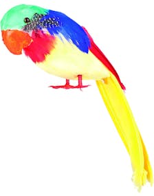 Färgglad Papegoja 30 cm Dekoration/Kostymtillbehör