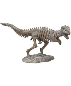 Tyrannosaurus Rex Skelettfigur 33 cm