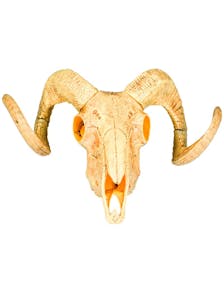 Buffalo Dödskalle 29x38 cm - Wild West