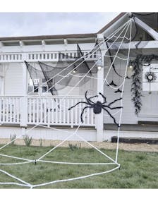 Gigantisk Spindelvev med Stor Edderkopp
