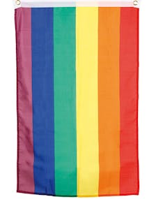Regnbuefarget Flagg 150x90 cm