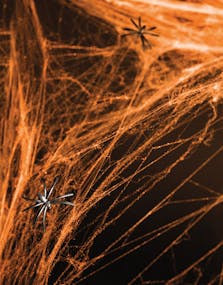 Orange Spindelvev med 2 Edderkopper 60 gram