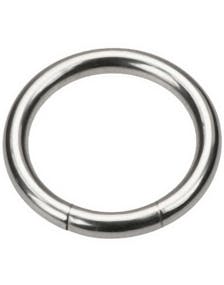 Silver Segment Ring
